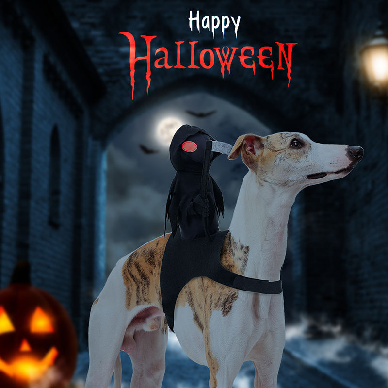 Dark Harvest Knight Transformation Pet Costume - One Tiny Rider. A Whole Lot of Howls.