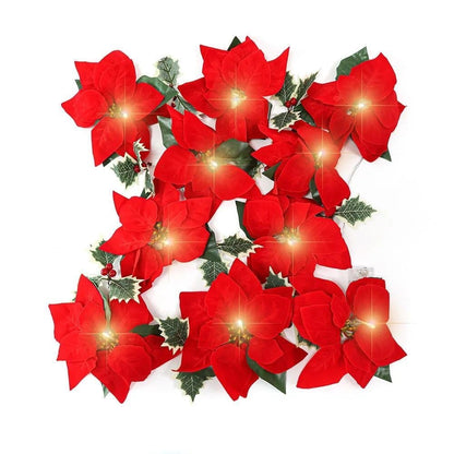🌺 Velvet Flowers·Holly Berries·Warm Lights