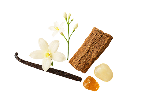 GODA fragrance notes